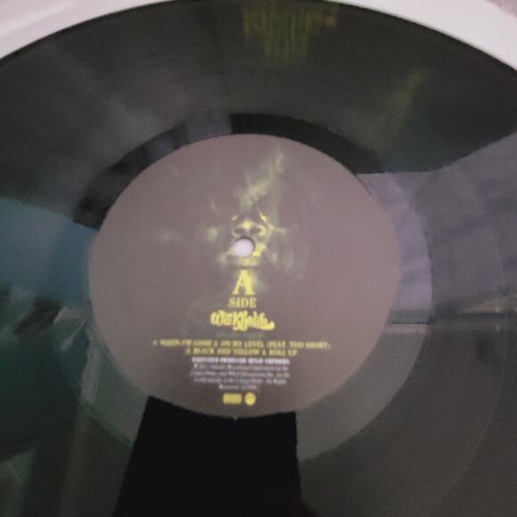 Wiz Khalifa - Rolling Papers LP w/ Insert ONLY SIDE A & B. 2ND VINYL IS MISSING - Picture 4 of 7